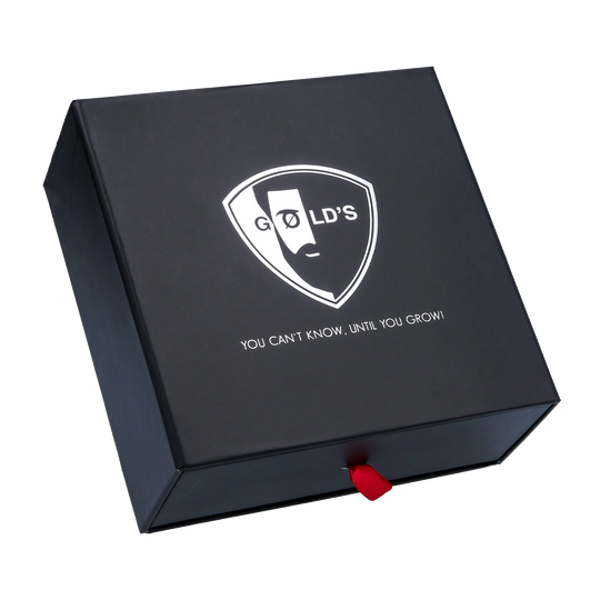 Geschenkbox in Schwarz Silber von GØLD'S / Goelds
